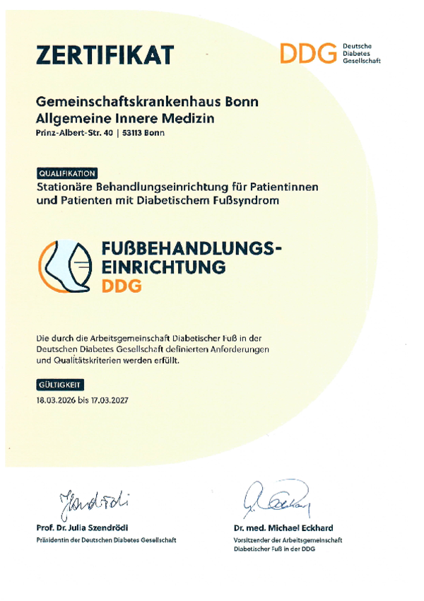 Stationäre Behandlungseinrichtung für Patientinnen und Patienten mit Diabetischem Fußsyndrom, Fußbehandlungseinrichtung DDG