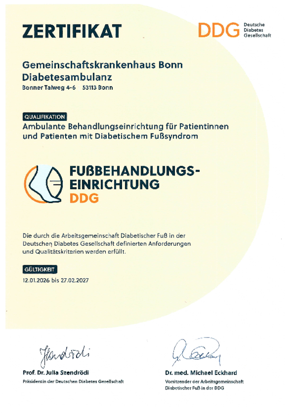 Ambulante Behandlungseinrichtung für Patientinnen und Patienten mit Diabetischem Fußsyndrom, Fußbehandlungseinrichtung DDG